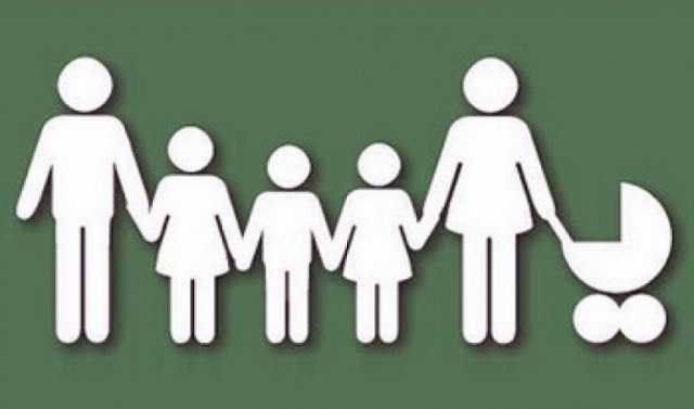 Логотип программы многодетная семья