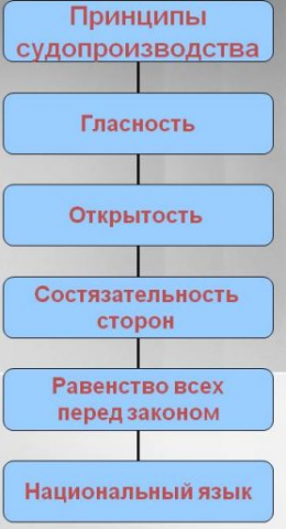 принципы судопроизводства в РФ